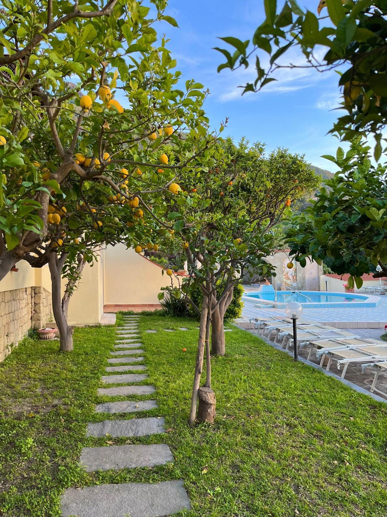 Resort Villa Flavio Casamicciola Terme Exteriör bild