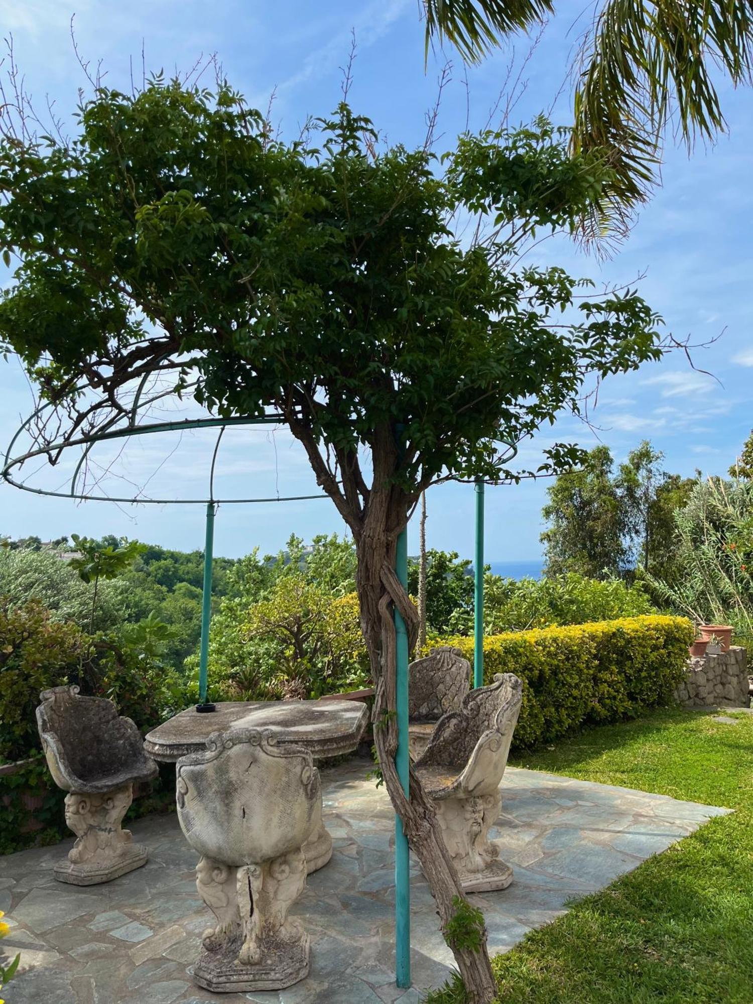 Resort Villa Flavio Casamicciola Terme Exteriör bild