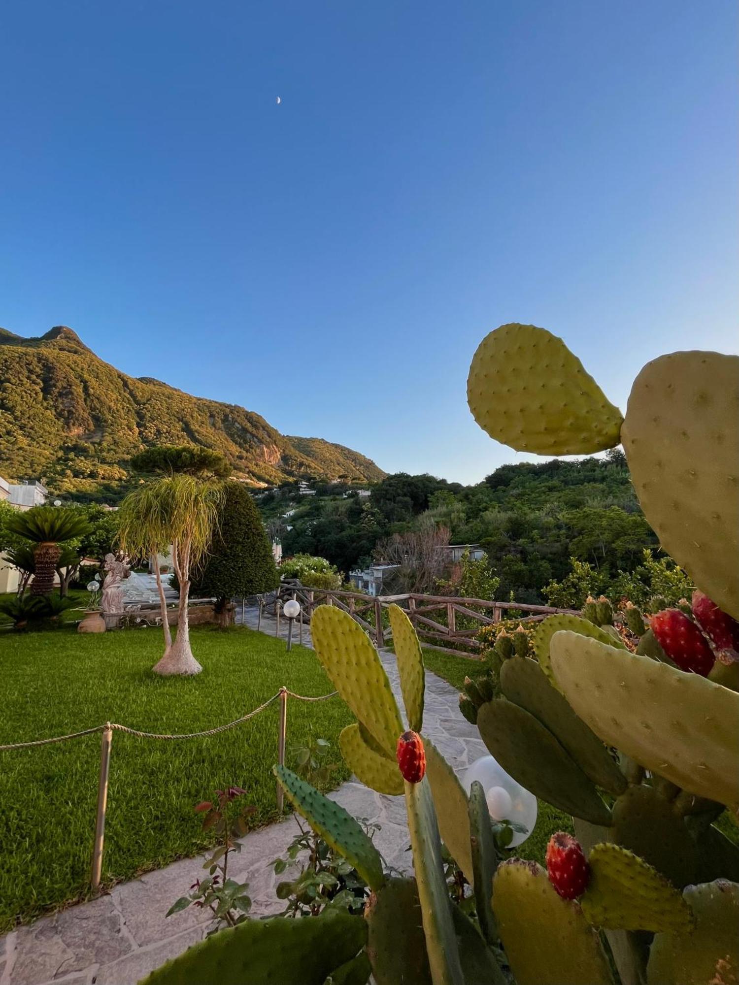 Resort Villa Flavio Casamicciola Terme Exteriör bild