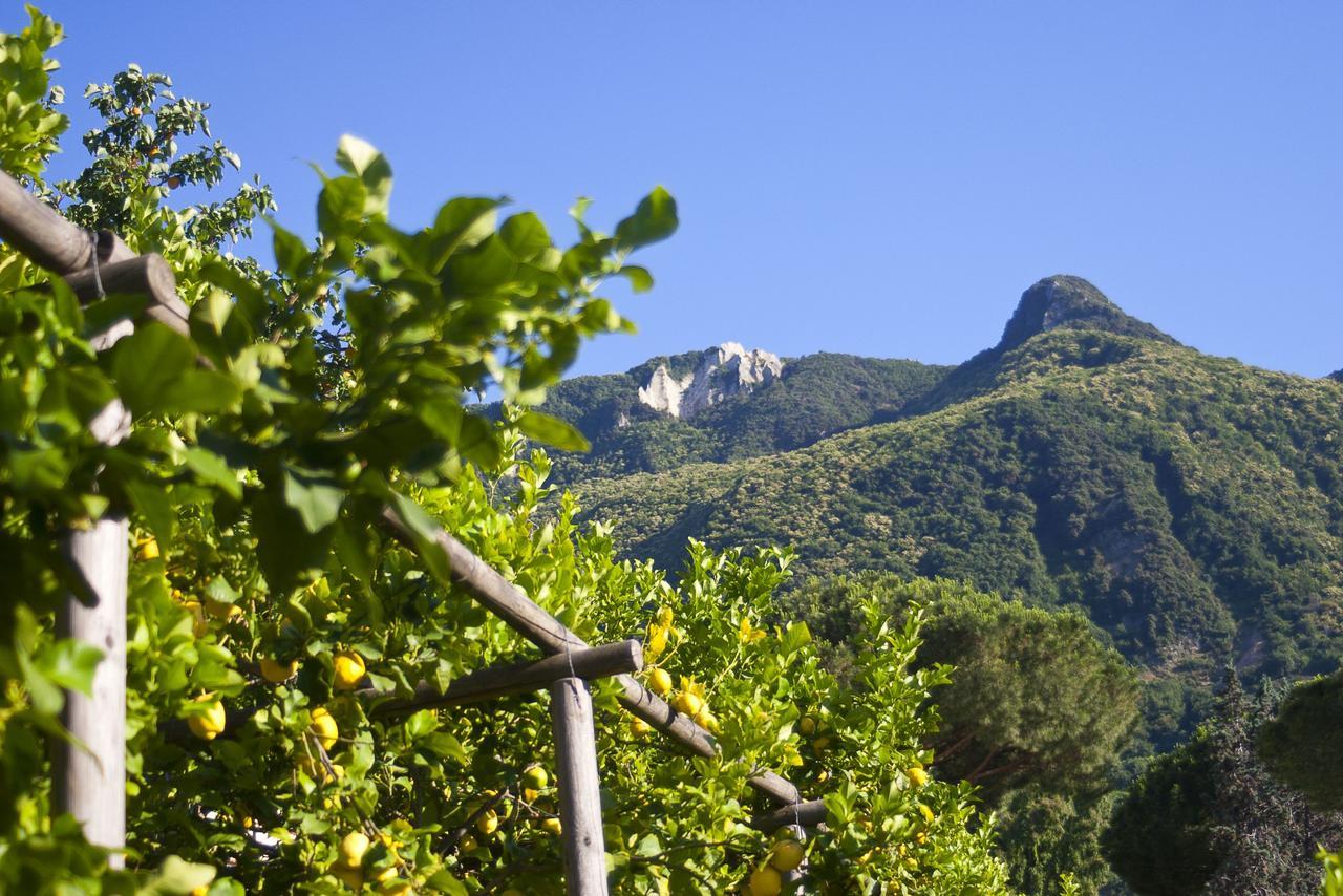 Resort Villa Flavio Casamicciola Terme Exteriör bild