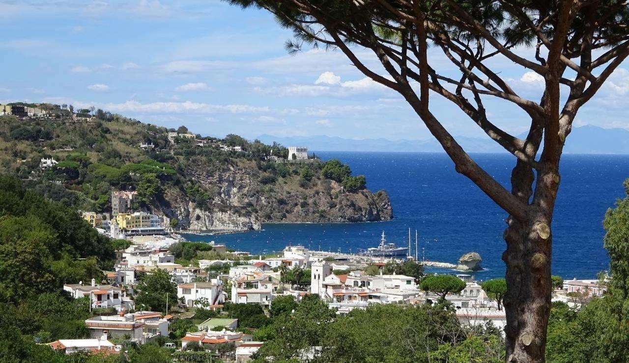 Resort Villa Flavio Casamicciola Terme Exteriör bild
